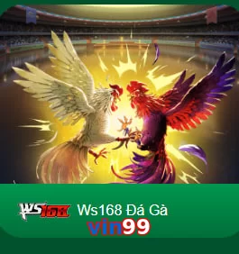 vin99